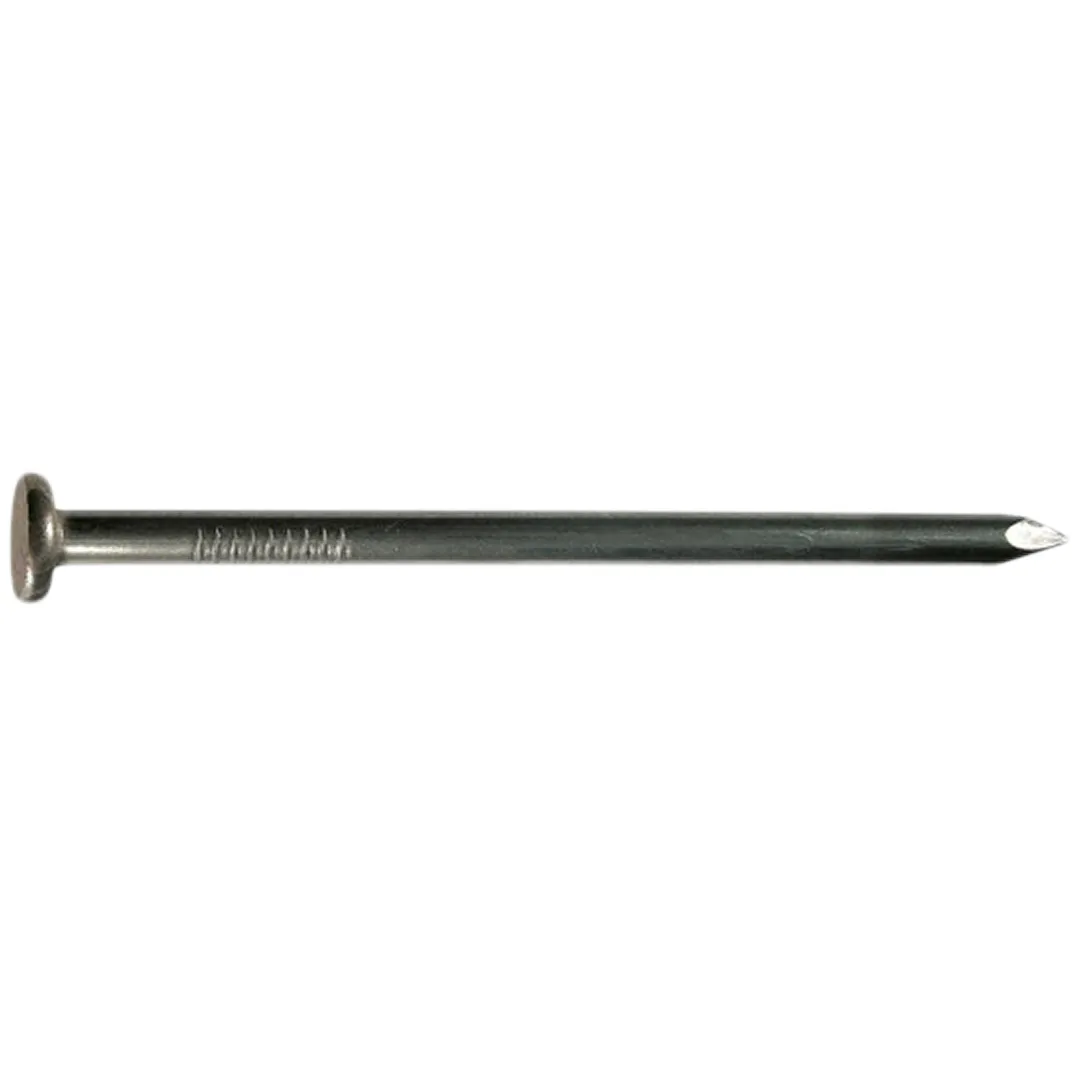 HPAULIN HPAULIN Common Framing Nails - 500 Pack