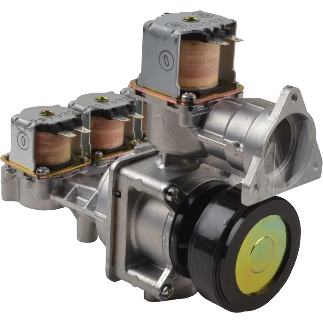RHEEM RHEEM Gas Valves For Rheem Tankless Water Heaters