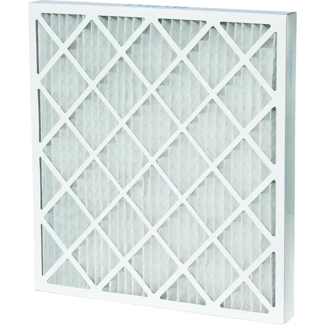 Pleated Throwaway Filters - 1"
