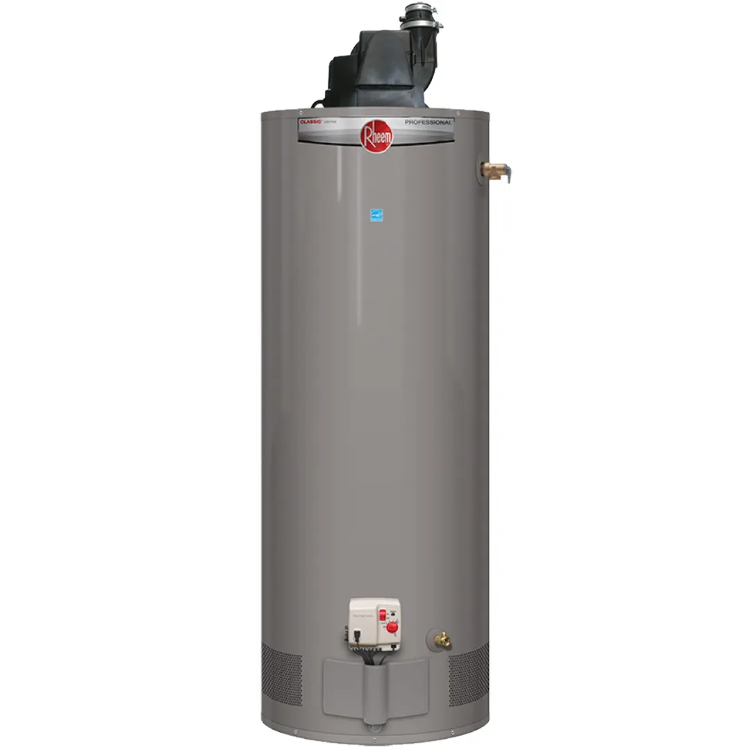 RHEEM RHEEM Professional Classic Power Vent Tank-Type Gas Water Heater