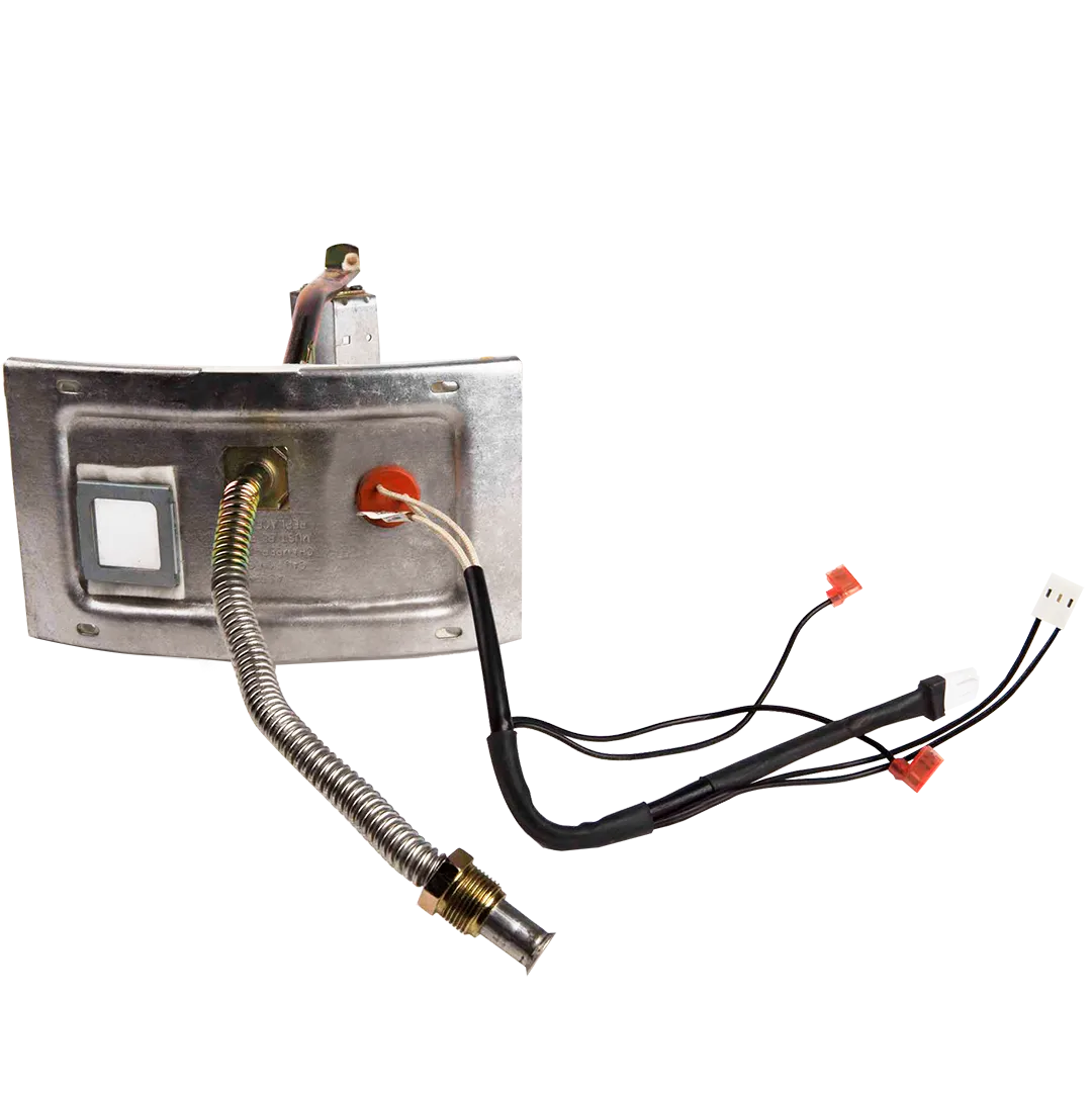 RHEEM RHEEM Burner Assembly With Sight Glass - NG