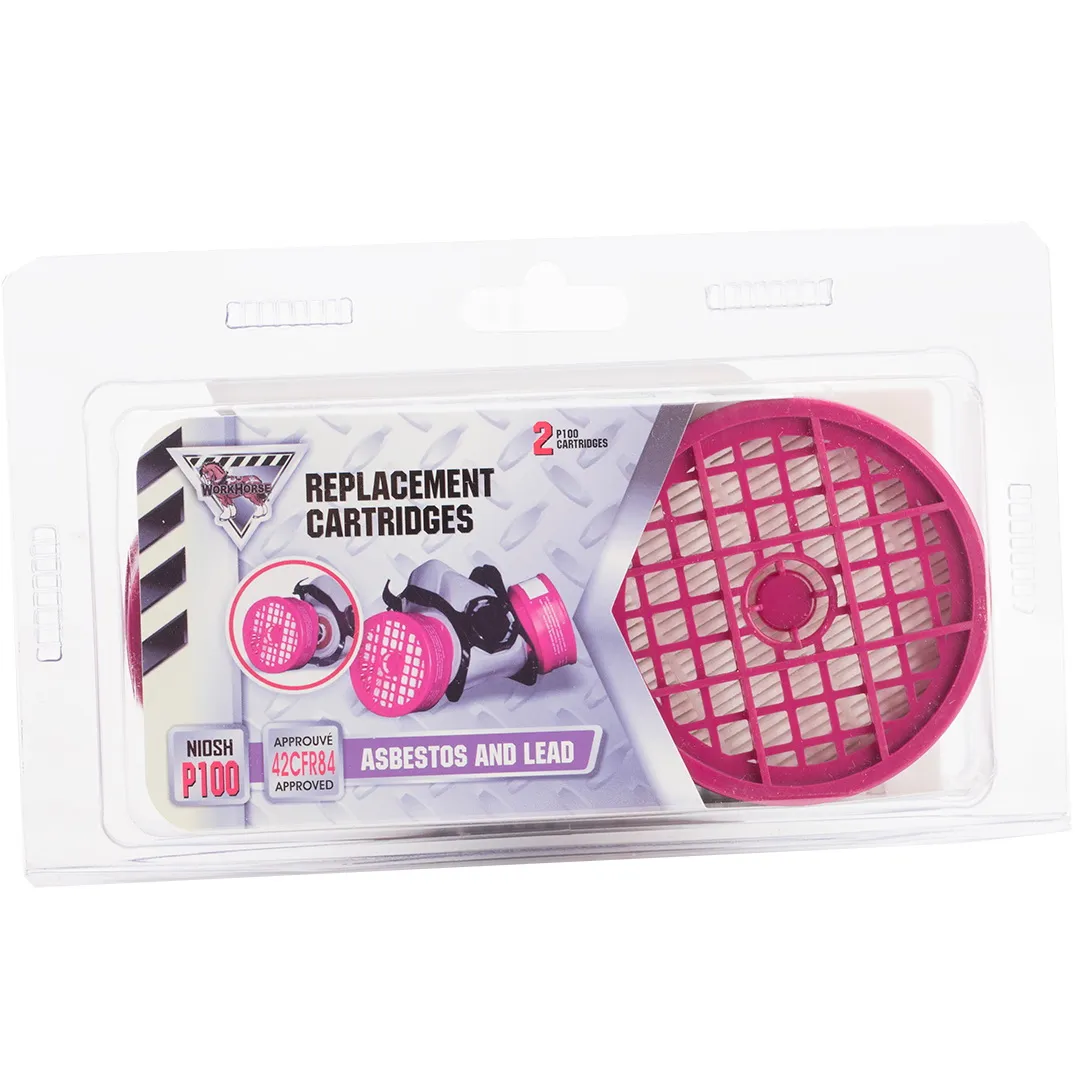 MCCORDICK MCCORDICK Workhorse Replacement Cartridges P100 - Asbestos & Lead