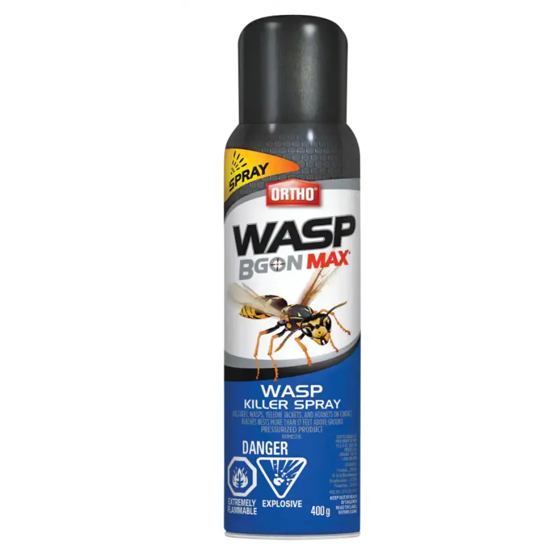 ORTHO ORTHO Wasp B Gon MAX Wasp Killer Spray
