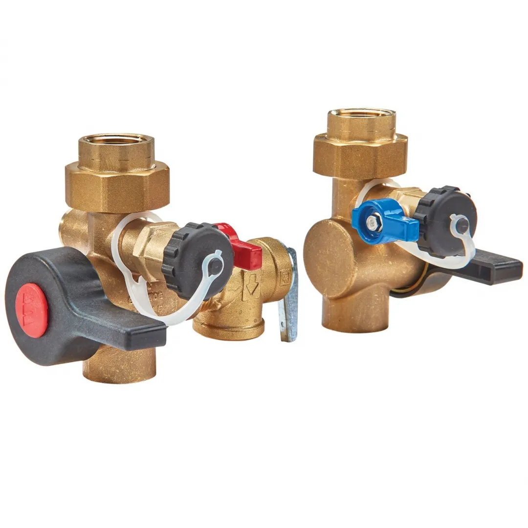 WATTS WATTS LFTWH-G2-FT-HC-RV Tankless Water Heater Service Valve Kit