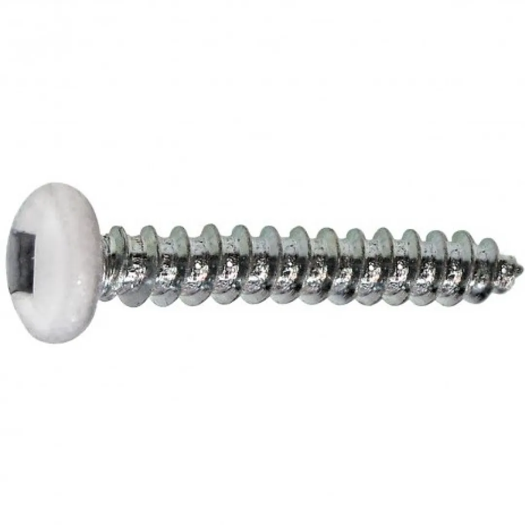 HPAULIN HPAULIN Round Head Socket SOFFIT Screw - White Head